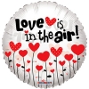 Шар-круг Любовь витает в воздухе (Love is in the air), 46 см